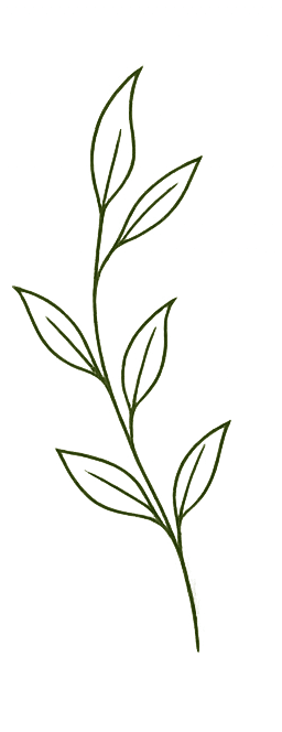 Leafy Home Décor Inspiration: Sleek, calming plant stem sketch with defined green veins—adds eco-chic flair to your space. Save this idea so you can come back to it later.