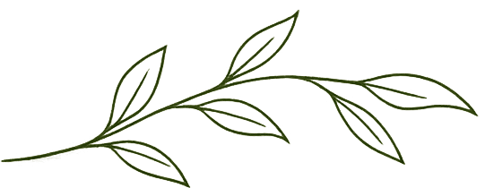 Leafy Home Decor Inspiration: Delicate, calming, hand-drawn green branch with 7 detailed veins—perfect for eco-styled spaces. Save this idea so you can come back to it later.
